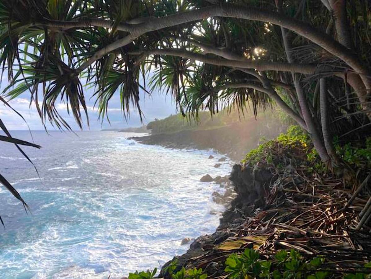 Seaside House And Aloha Bungalow Pahoa Buitenkant foto