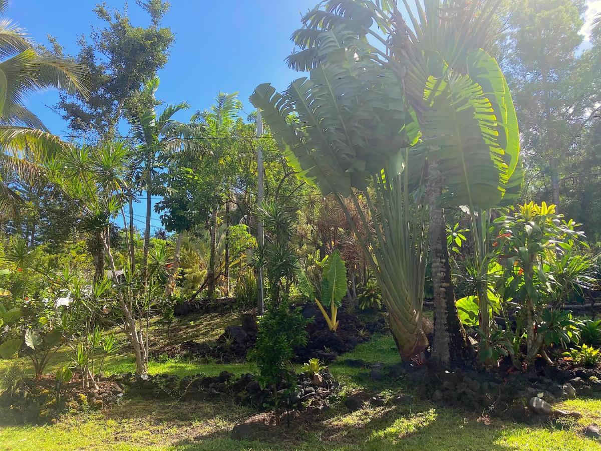 Seaside House And Aloha Bungalow Pahoa Buitenkant foto