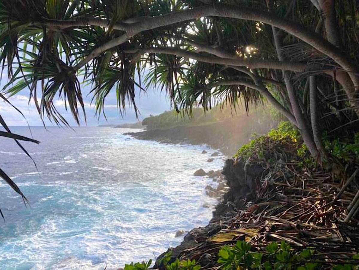 Seaside House And Aloha Bungalow Pahoa Buitenkant foto
